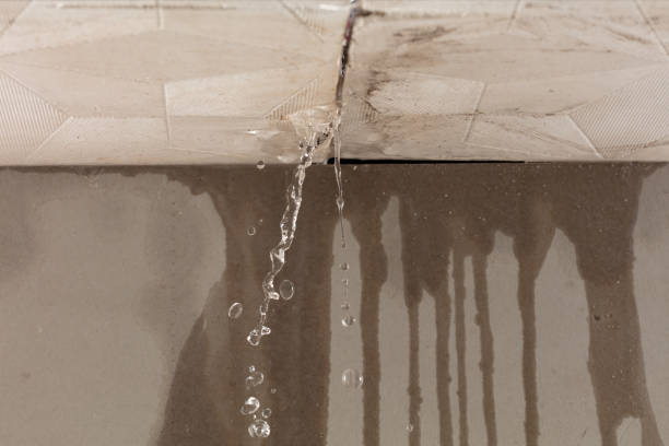 Professional Water Extraction technician working in Luna Pier, MI